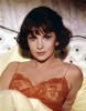 photo Gina Lollobrigida